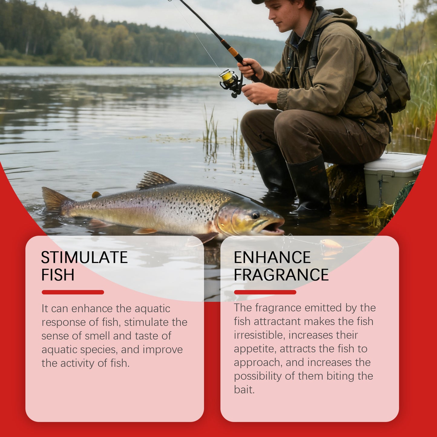 Universal Fish Stunning Bait