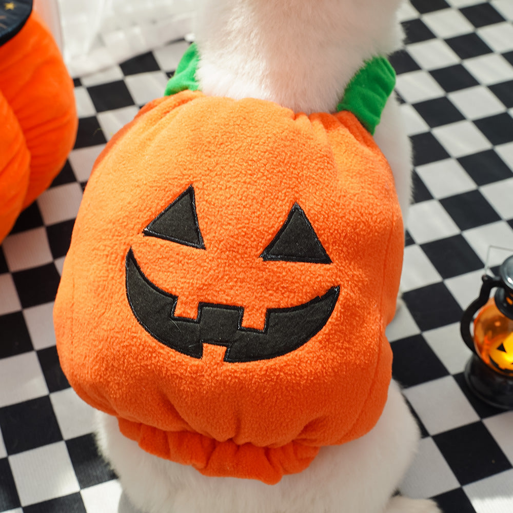 Halloween Pumpkin Pet Costume