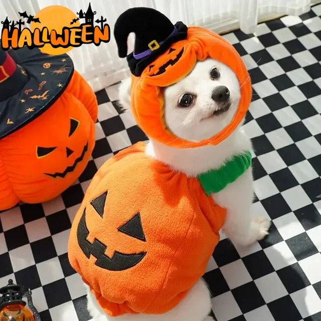 Halloween Pumpkin Pet Costume