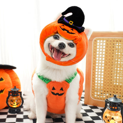 Halloween Pumpkin Pet Costume