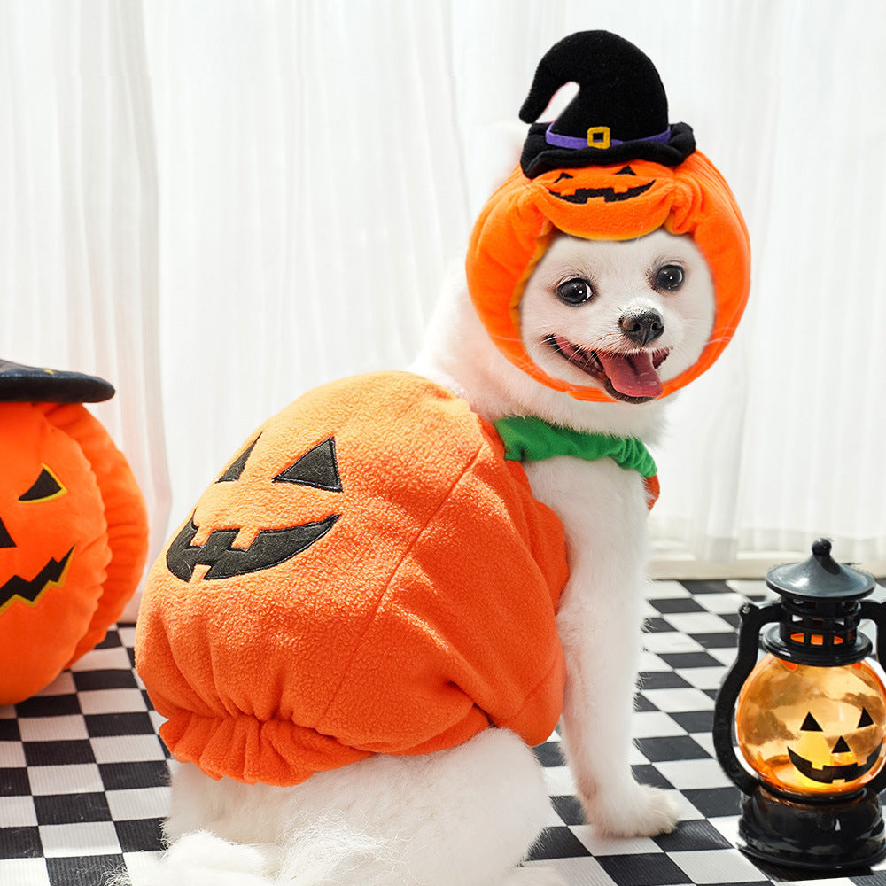 Halloween Pumpkin Pet Costume