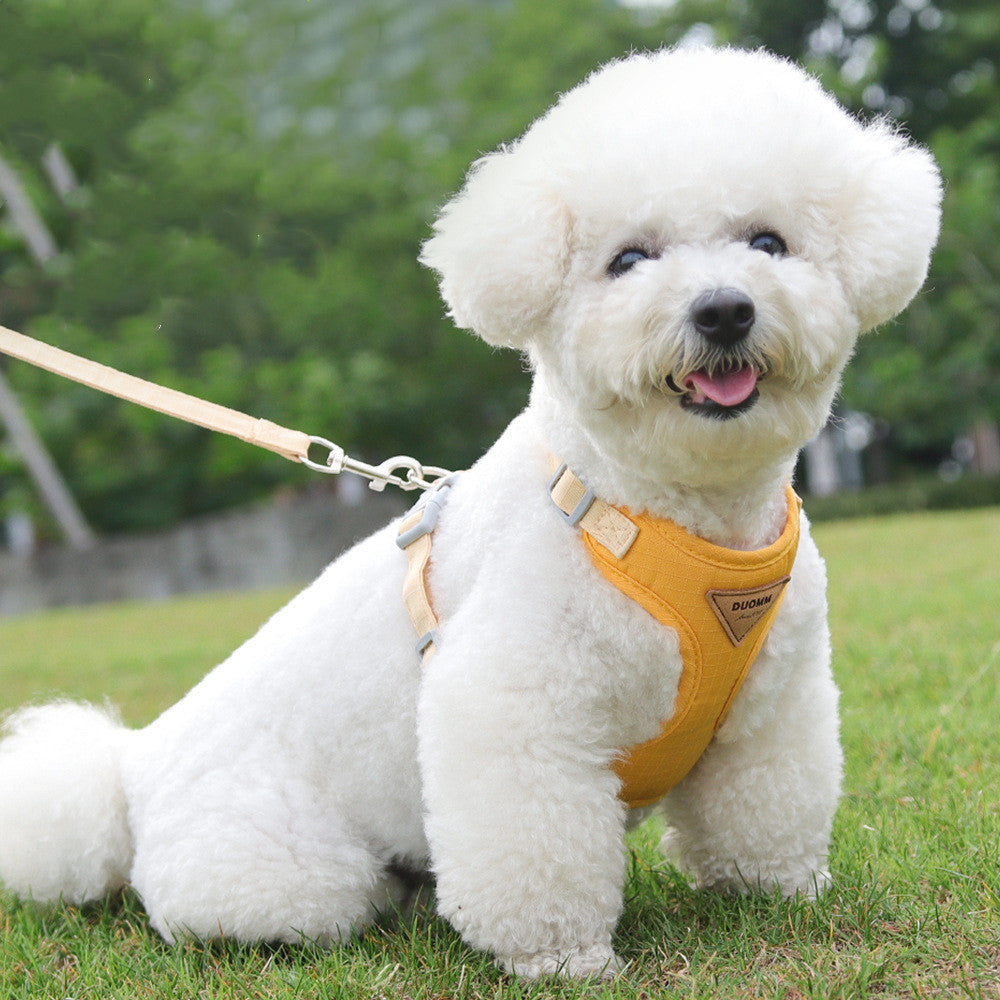 No-Pull Dog Harness & Leash