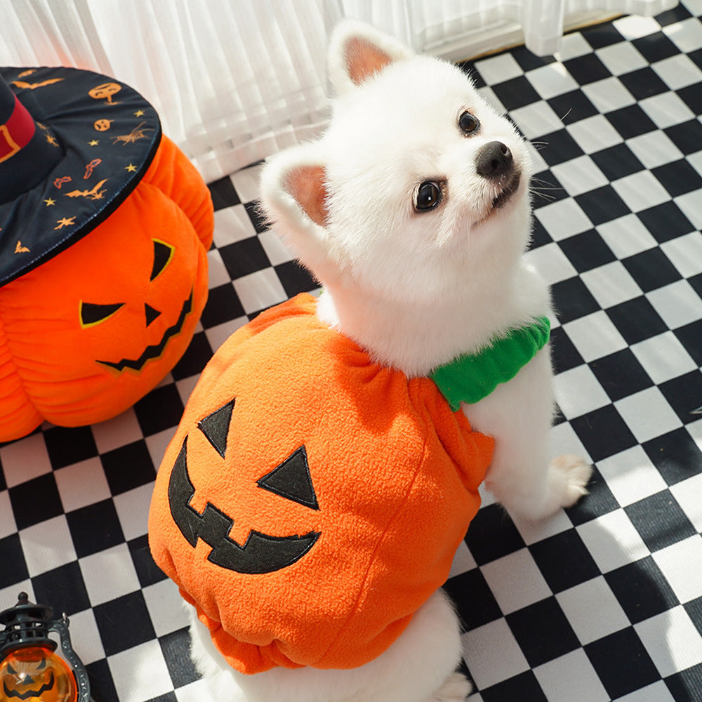 Halloween Pumpkin Pet Costume