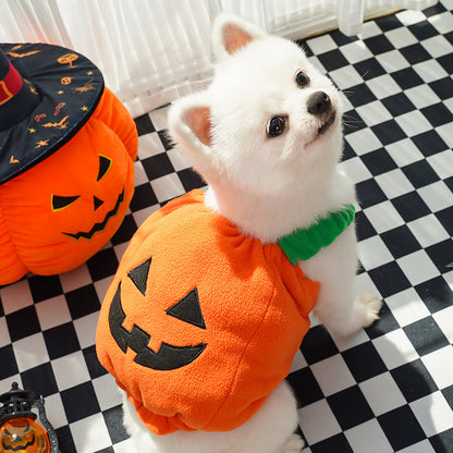 Halloween Pumpkin Pet Costume