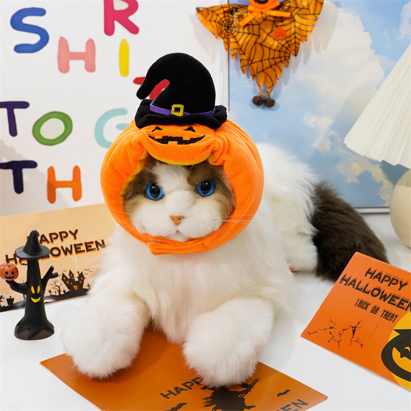 Halloween Pumpkin Pet Costume