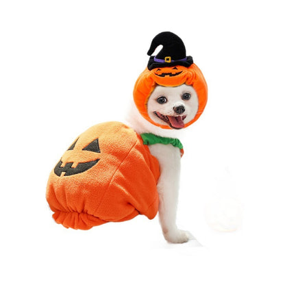 Halloween Pumpkin Pet Costume